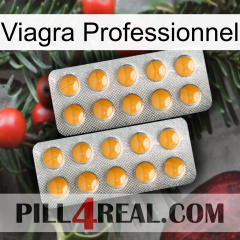 Viagra Professional Set levitra2